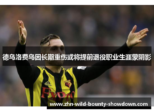 德乌洛费乌因长期重伤或将提前退役职业生涯蒙阴影 德乌洛费乌因长期重伤或将提前退役职业生涯蒙阴影